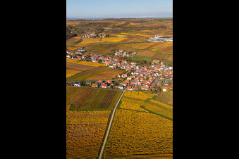 Kleinkarlbach dans le département Rhénanie-Palatinat, Allemagne vue du ciel