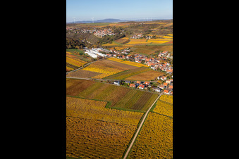 Enregistrement par drone de Kleinkarlbach dans le département Rhénanie-Palatinat, Allemagne