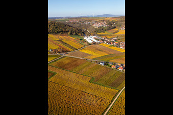 Image drone de Kleinkarlbach dans le département Rhénanie-Palatinat, Allemagne