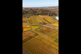 Kleinkarlbach dans le département Rhénanie-Palatinat, Allemagne du point de vue du drone