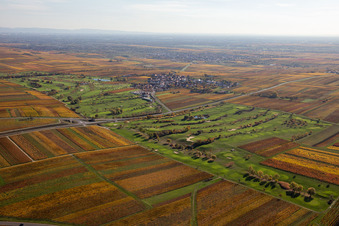 Terrain du parcours de golf Golfgarten de la Route des vins allemande - Dackenheim - GOLF absolute à Dackenheim dans le département Rhénanie-Palatinat, Allemagne hors des airs