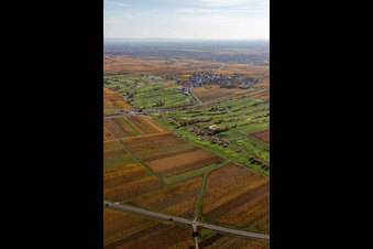 Route des vins allemands du Golf Garden à Dackenheim dans le département Rhénanie-Palatinat, Allemagne d'en haut