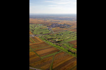 Terrain du parcours de golf Golfgarten de la Route des vins allemande - Dackenheim - GOLF absolute à Dackenheim dans le département Rhénanie-Palatinat, Allemagne vue d'en haut