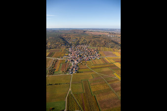 Vue aérienne de Vignobles aux couleurs automnales dans la plaine du Rhin au bord du Haardt à Bobenheim am Berg dans le département Rhénanie-Palatinat, Allemagne