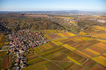 Vue aérienne de Bobenheim am Berg dans le département Rhénanie-Palatinat, Allemagne
