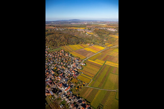 Photographie aérienne de Bobenheim am Berg dans le département Rhénanie-Palatinat, Allemagne
