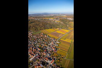 Vue aérienne de Centre du village en bordure des vignes et des caves de la région viticole à Bobenheim am Berg dans le département Rhénanie-Palatinat, Allemagne