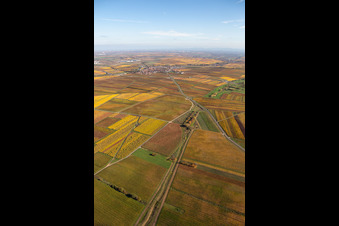 Quartier Jerusalemsberg in Kirchheim an der Weinstraße dans le département Rhénanie-Palatinat, Allemagne depuis l'avion