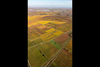 Kleinkarlbach dans le département Rhénanie-Palatinat, Allemagne d'un drone