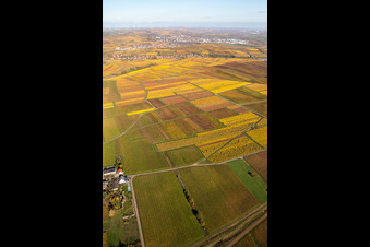 Kleinkarlbach dans le département Rhénanie-Palatinat, Allemagne vu d'un drone