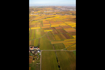 Vue aérienne de Kleinkarlbach dans le département Rhénanie-Palatinat, Allemagne