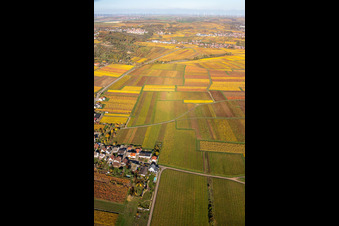 Photographie aérienne de Kleinkarlbach dans le département Rhénanie-Palatinat, Allemagne