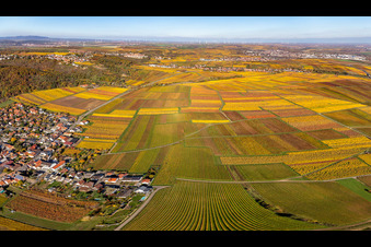 Vue aérienne de Vignobles aux couleurs automnales entre Kleinkarlbach et Bobenheim am Berg à Bobenheim am Berg dans le département Rhénanie-Palatinat, Allemagne