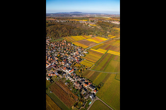 Vue aérienne de Château de Battenberg à Bobenheim am Berg dans le département Rhénanie-Palatinat, Allemagne