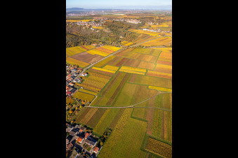 Vue aérienne de Château Battenberg à Battenberg dans le département Rhénanie-Palatinat, Allemagne