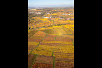 Kleinkarlbach dans le département Rhénanie-Palatinat, Allemagne d'en haut