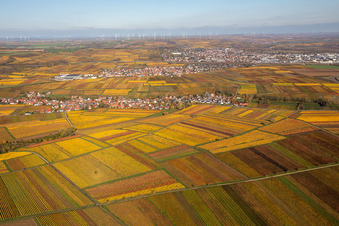 Vue aérienne de Leiningerland Kirchheim à le quartier Jerusalemsberg in Kirchheim an der Weinstraße dans le département Rhénanie-Palatinat, Allemagne
