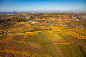Vue aérienne de Leiningerland Kleinkarlbach à Kleinkarlbach dans le département Rhénanie-Palatinat, Allemagne