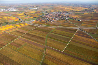 Enregistrement par drone de Quartier Jerusalemsberg in Kirchheim an der Weinstraße dans le département Rhénanie-Palatinat, Allemagne
