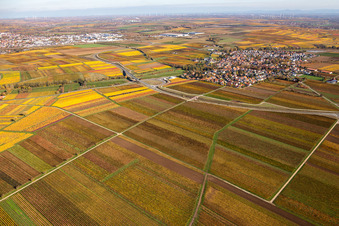 Image drone de Quartier Jerusalemsberg in Kirchheim an der Weinstraße dans le département Rhénanie-Palatinat, Allemagne