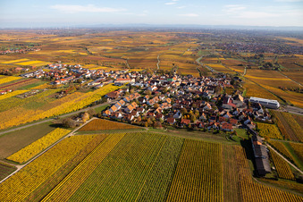 Photographie aérienne de Vue de la végétation aux couleurs automnales des vignes autour du village viticole à Herxheim am Berg dans le département Rhénanie-Palatinat, Allemagne