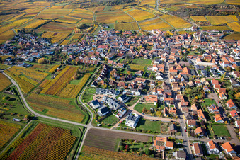 Vue aérienne de Vue de la végétation aux couleurs automnales des vignobles autour du village viticole de Kallstadt à le quartier Ungstein in Bad Dürkheim dans le département Rhénanie-Palatinat, Allemagne