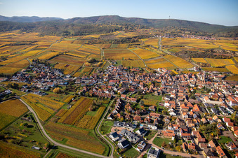 Photographie aérienne de Vue de la végétation aux couleurs automnales des vignobles autour du village viticole de Kallstadt à le quartier Ungstein in Bad Dürkheim dans le département Rhénanie-Palatinat, Allemagne