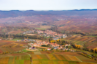 Vue aérienne de Structures du paysage viticole aux couleurs automnales des régions viticoles à le quartier Klingen in Heuchelheim-Klingen dans le département Rhénanie-Palatinat, Allemagne