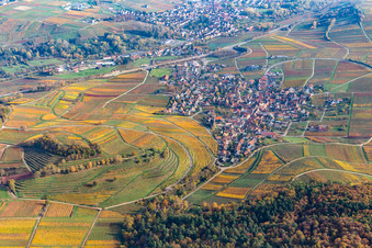 Vue aérienne de Les vignobles aux couleurs d'automne du site de Kastanienbusch entourent la zone de peuplement du village à Birkweiler dans le département Rhénanie-Palatinat, Allemagne