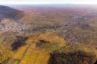 Vue aérienne de Châtaignier à Birkweiler dans le département Rhénanie-Palatinat, Allemagne