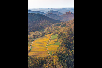 Vue aérienne de Vue aérienne d'automne des châteaux de Trifels, Scharfeneck et Anebos au-dessus de la forêt du Palatinat vue depuis le Birnbachtal à Annweiler am Trifels dans le département Rhénanie-Palatinat, Allemagne