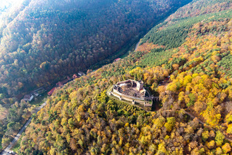Vue aérienne de Vue aérienne d'automne des ruines et des vestiges des murs de l'ancien complexe du château de Burg Landeck à Klingenmünster dans le département Rhénanie-Palatinat, Allemagne