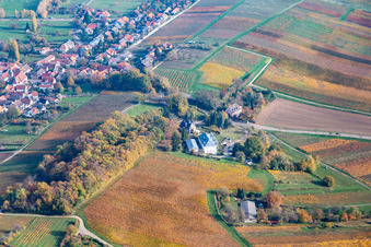 Vue aérienne de Quartier Pleisweiler in Bad Bergzabern dans le département Rhénanie-Palatinat, Allemagne