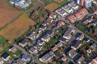 Vue aérienne de Pfalzgrafenstraße Saarstr à Bad Bergzabern dans le département Rhénanie-Palatinat, Allemagne