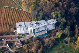 Vue aérienne de Terrain de la clinique de réadaptation Edith Stein, clinique de neurologie à Bad Bergzabern dans le département Rhénanie-Palatinat, Allemagne