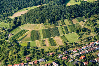 Vue aérienne de Vignobles à le quartier Dietlingen in Keltern dans le département Bade-Wurtemberg, Allemagne
