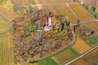 Vue aérienne de Vue aérienne d'automne des bâtiments et des parcs du Château Saint Paul sur Sonnenberg à Wissembourg dans le département Bas Rhin, France
