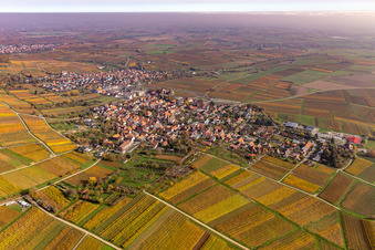 Vue aérienne de Vue de la végétation aux couleurs automnales du centre du village en bordure des vignes et des caves de la région viticole en Schweigen à le quartier Schweigen in Schweigen-Rechtenbach dans le département Rhénanie-Palatinat, Allemagne
