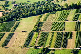 Vue aérienne de Structures sur les champs agricoles à le quartier Dietlingen in Keltern dans le département Bade-Wurtemberg, Allemagne