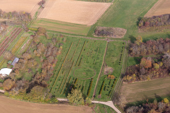 Vue aérienne de Schweighofen dans le département Rhénanie-Palatinat, Allemagne