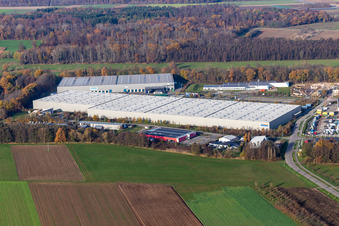 Vue aérienne de Parc industriel de Horst avec Magna Exteriors, Zufall Logistics, STS Group et Thermo Fisher à le quartier Minderslachen in Kandel dans le département Rhénanie-Palatinat, Allemagne