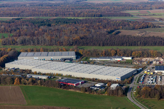 Photographie aérienne de Parc industriel de Horst avec Magna Exteriors, Zufall Logistics, STS Group et Thermo Fisher à le quartier Minderslachen in Kandel dans le département Rhénanie-Palatinat, Allemagne