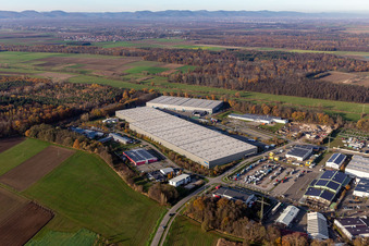 Vue aérienne de Zone industrielle et implantation d'entreprise Horst avec Friedrich Zufall GmbH & Co. KG Internationale Spedition, Magna Exteriors, STS Group et Thermo Fisher à le quartier Minderslachen in Kandel dans le département Rhénanie-Palatinat, Allemagne