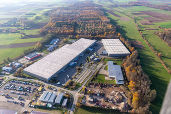 Parc industriel de Horst avec Magna Exteriors, Zufall Logistics, STS Group et Thermo Fisher à le quartier Minderslachen in Kandel dans le département Rhénanie-Palatinat, Allemagne hors des airs