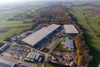 Photographie aérienne de Zone industrielle et implantation d'entreprise Horst avec Friedrich Zufall GmbH & Co. KG Internationale Spedition, Magna Exteriors, STS Group et Thermo Fisher à le quartier Minderslachen in Kandel dans le département Rhénanie-Palatinat, Allemagne