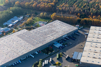 Parc industriel de Horst avec Magna Exteriors, Zufall Logistics, STS Group et Thermo Fisher à le quartier Minderslachen in Kandel dans le département Rhénanie-Palatinat, Allemagne vue du ciel