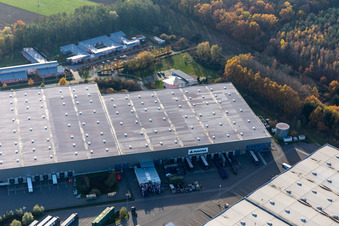Image drone de Parc industriel de Horst avec Magna Exteriors, Zufall Logistics, STS Group et Thermo Fisher à le quartier Minderslachen in Kandel dans le département Rhénanie-Palatinat, Allemagne