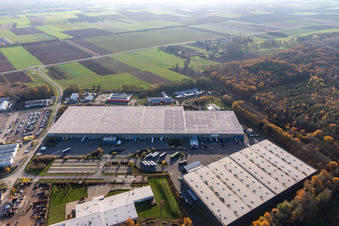 Parc industriel de Horst avec Magna Exteriors, Zufall Logistics, STS Group et Thermo Fisher à le quartier Minderslachen in Kandel dans le département Rhénanie-Palatinat, Allemagne du point de vue du drone
