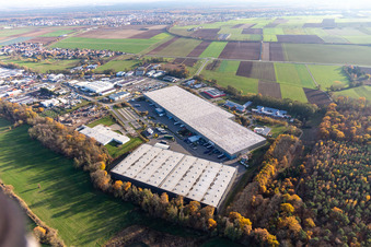 Parc industriel de Horst avec Magna Exteriors, Zufall Logistics, STS Group et Thermo Fisher à le quartier Minderslachen in Kandel dans le département Rhénanie-Palatinat, Allemagne d'un drone