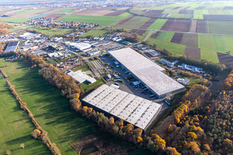 Parc industriel de Horst avec Magna Exteriors, Zufall Logistics, STS Group et Thermo Fisher à le quartier Minderslachen in Kandel dans le département Rhénanie-Palatinat, Allemagne vu d'un drone